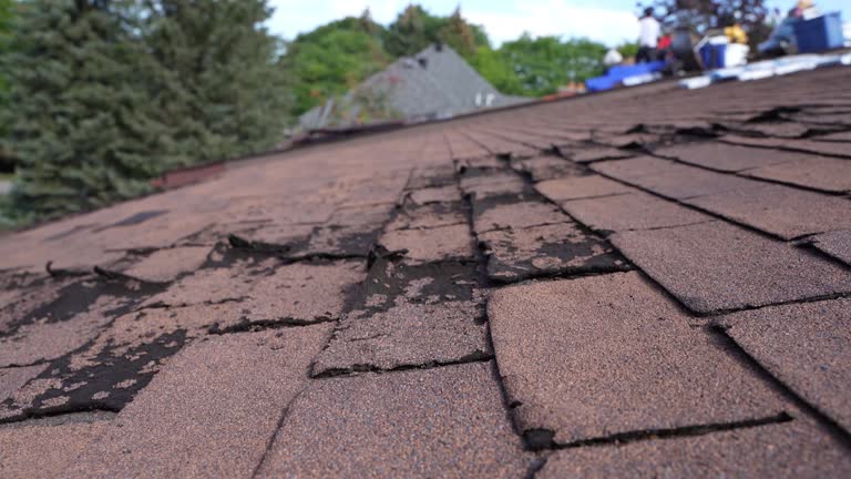 Best Gutter Installation and Repair  in Glespie, IL