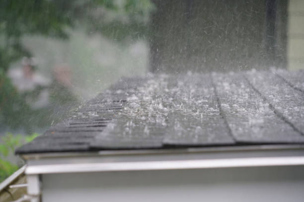 Best Metal Roofing Installation  in Glespie, IL